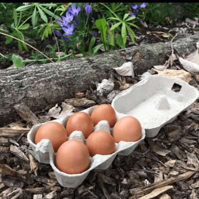 Pastured Raised Egg Box