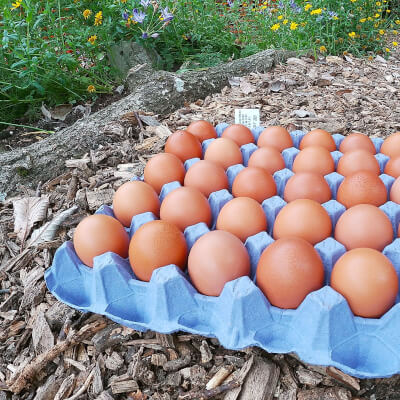 Pasture Raised Egg Tray