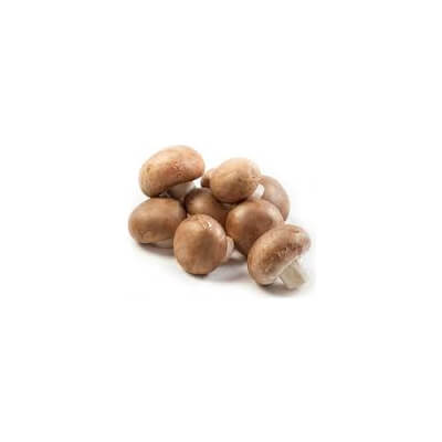 Organic Mushroom Chesnut
