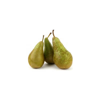 Organic Pears Conference