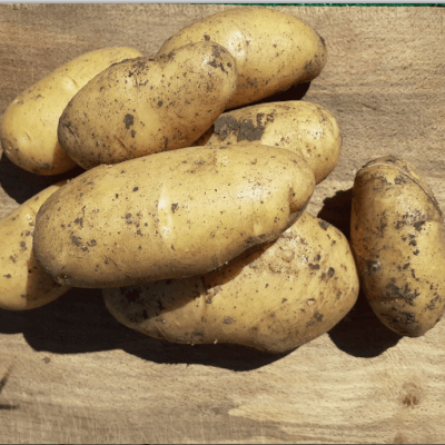 Organic Locally Grown Potatoes