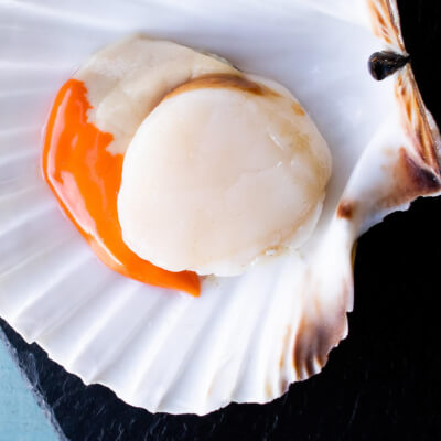 Scallops - Hand Dived