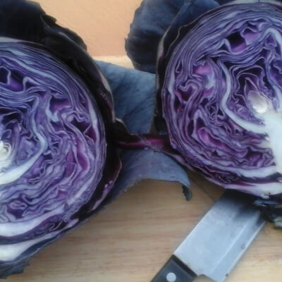 Organic Red Cabbage