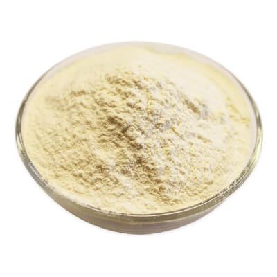 Garlic Powder 10G