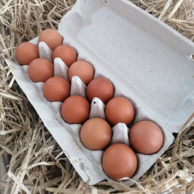 12 Pasture Raised Eggs 