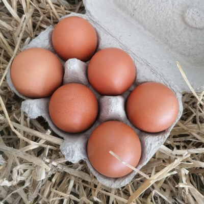 6 Pasture Raised Eggs