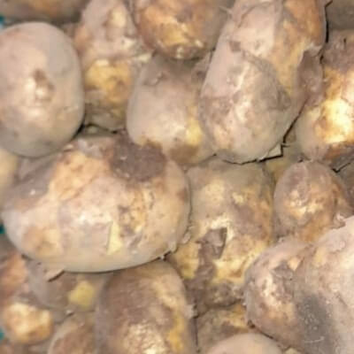 2.5Kg New Season Queen Potatoes 