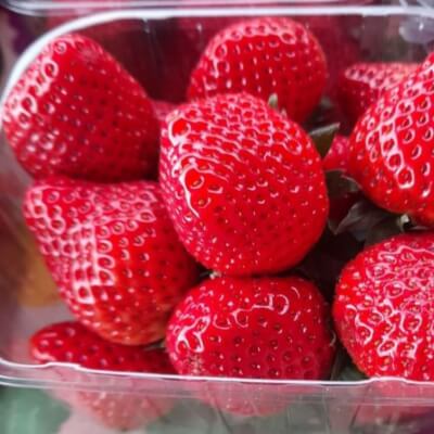 500G Punnet Of Strawberries 🍓 
