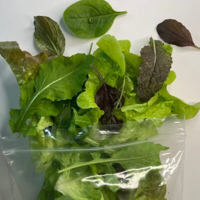Assorted Salad Leaves