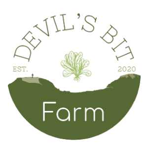 Devil’s Bit Farm
