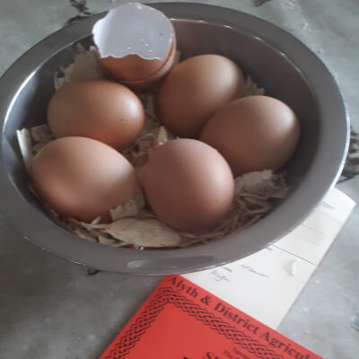Happy Hens 6 Large Free Range Eggs 
