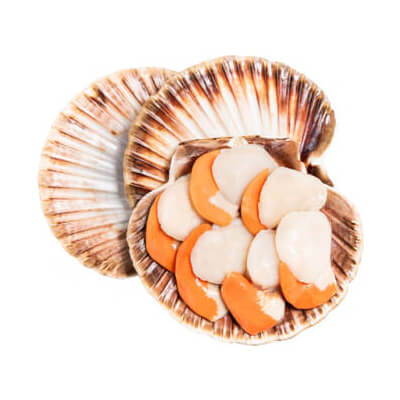 Scallops (Off The Shell)