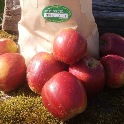 Irish Apples "Wellant" 1.3Kg Bag