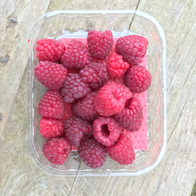 Organic Raspberries 