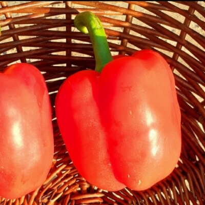 Organic Red Pepper 