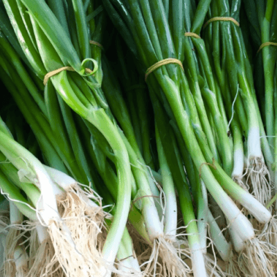Organic Spring Onions