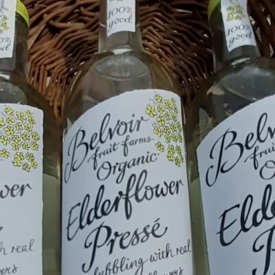 Belvoir Organic Elderflower Pressé