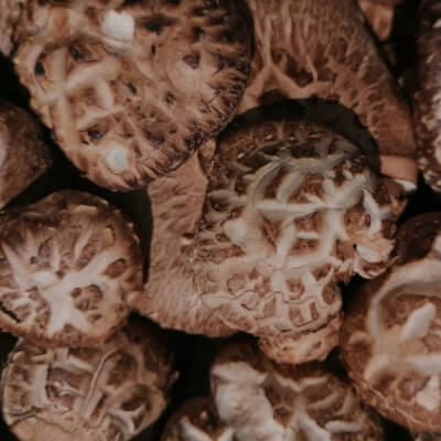 Fresh Mushrooms- Donko Shiitake
