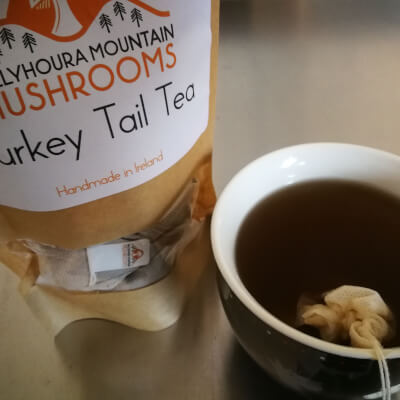 Turkey Tail Tea