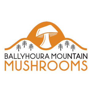 Ballyhoura Mountain Mushrooms