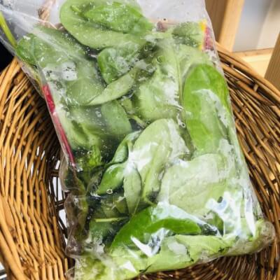 Irish Salad Mix Leaf Bag