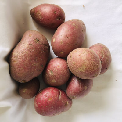 Setanta Potatoes