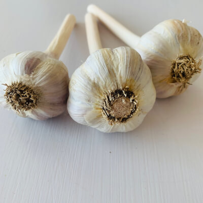 Organically Grown Irish Garlic 
