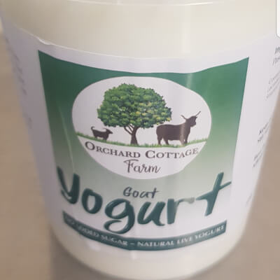 Goats Milk Yogurt 
