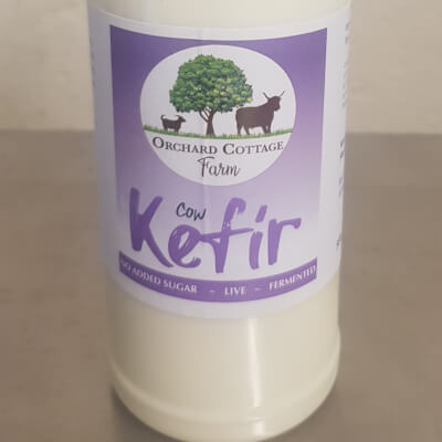 Cows Milk Kefir 