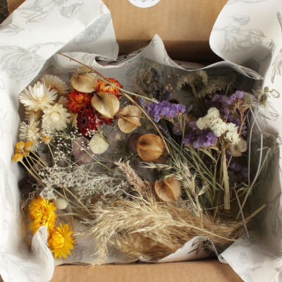 Mystery Craft Box Of Wexford Dried Flowers