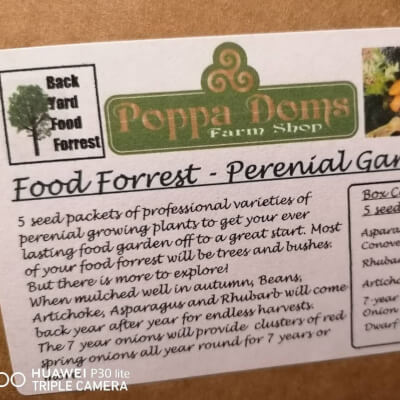 Food Forrest - Perennial Garden Seed Starter Gift Pack