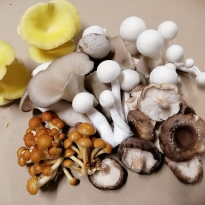 Organic Exotic Mushroom Mix 150G