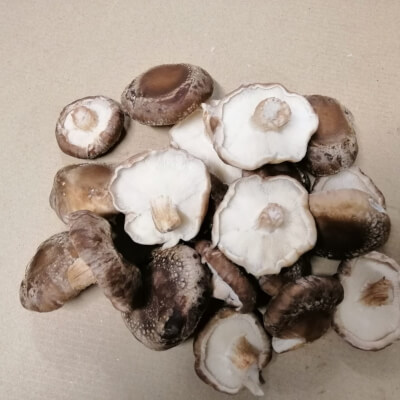 Organic Exotic Shiitake Mushrooms 100G 100% Compostable Box