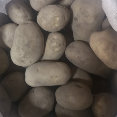 Organic Irish Potatoes 