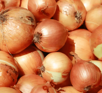 Organic Irish Yellow Onions