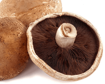 Organic Irish Portobello Mushrooms  