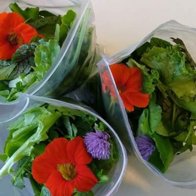 Baby Leaf Salad 