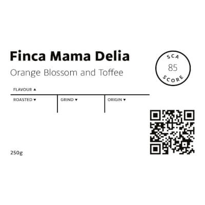 El Salvador- Finca Mama Delia Micro-Lot 9  Whole Bean