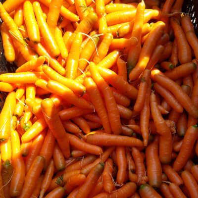 Carrots ....Price Drop.