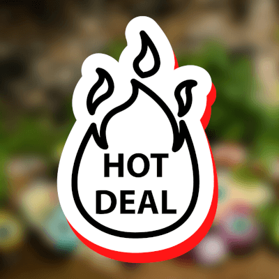 *Deal* 3 Frozen Single Meals  For Just 16 Euro