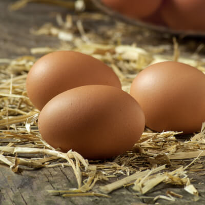 Farmton Fresh Organic Eggs