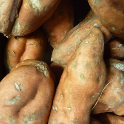 Organic Sweet Potato