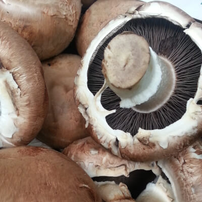 Organic Mushroom - 200G