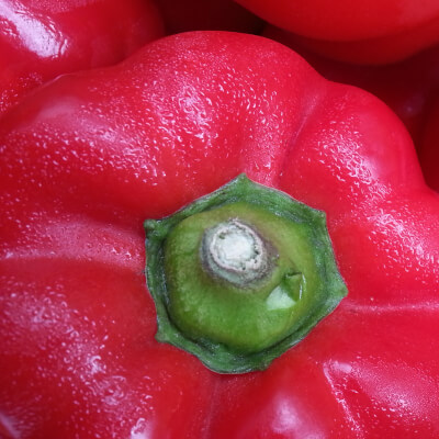 Organic Pepper Red