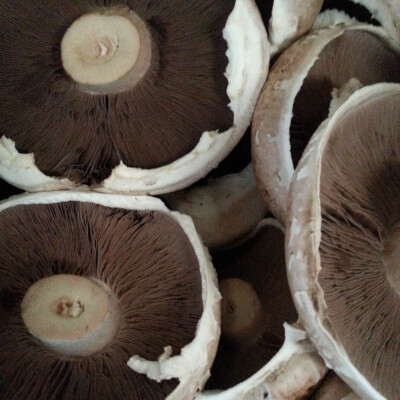Organic Portobello  Mushrooms