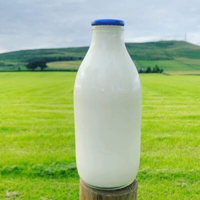 Glass Bottle Whole  Milk 