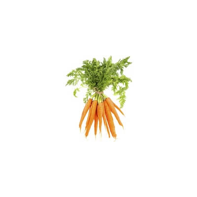 Organic Carrots Bunched 