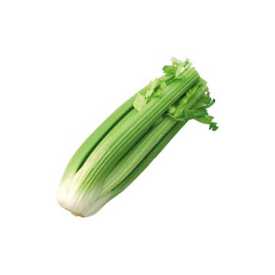 Organic Celery Head