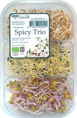 Organic Spicy Sprouted Trio