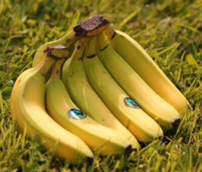 Organic & Fair Trade Bananas - 1 Kg